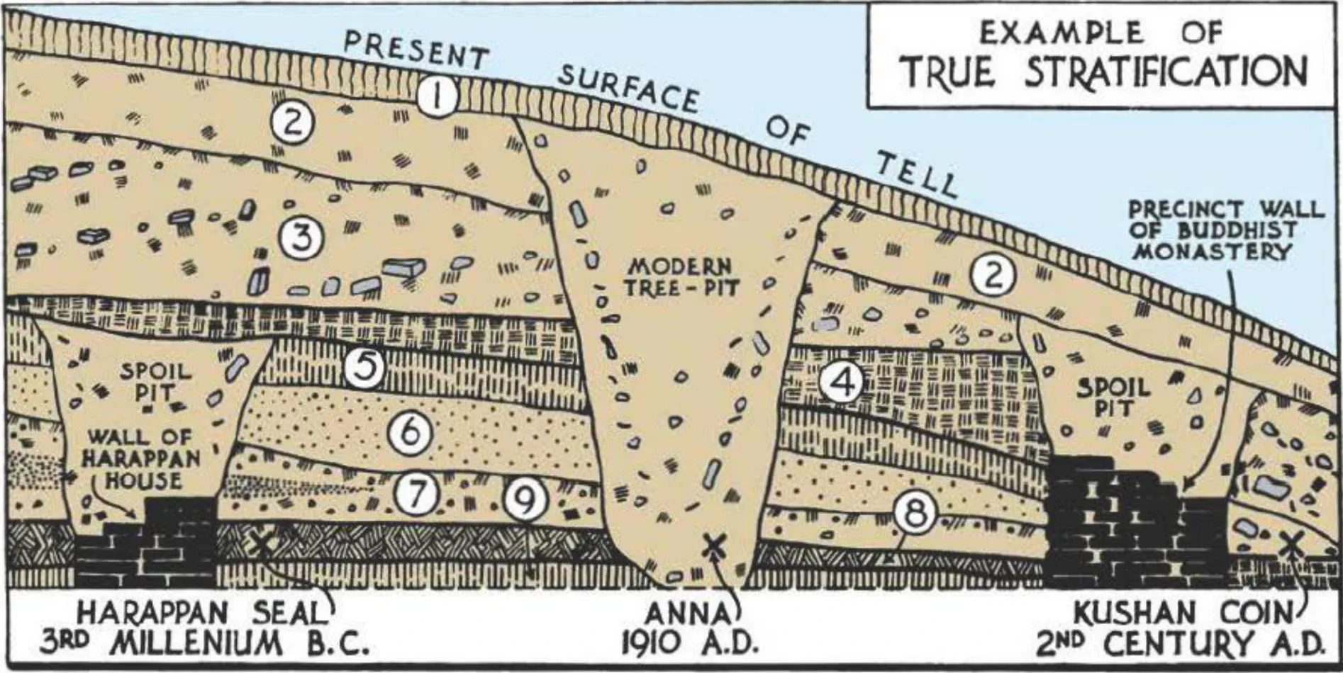стратиграфия